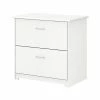 Bush Business Furniture Bush Furniture Cabot 2-Drawer Lateral File Cabinet, Not Assembled, Letter/Legal, White, 31.26"W (WC31980) -File Cabinets Shop unnamed file 1041