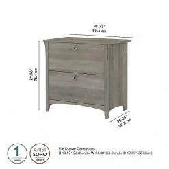 Bush Furniture Salinas 2-Drawer Lateral File Cabinet, Letter/Legal, Driftwood Gray, 31.73" (SAF132DG-03) -File Cabinets Shop unnamed file 1096