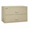 FireKing Classic 2-Drawer Lateral File Cabinet, Fire Resistant, Beige, Letter/Legal, 44.5"W (2-4422-CPA) -File Cabinets Shop unnamed file 1195