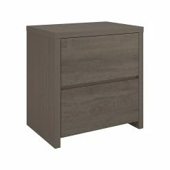 Bush Furniture Bristol 2-Drawer Lateral File Cabinet, Letter/Legal, Restored Gray/Thread Gray, 29" (BRF129RT-03)