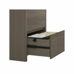 Bush Furniture Bristol 2-Drawer Lateral File Cabinet, Letter/Legal, Restored Gray/Thread Gray, 29" (BRF129RT-03) 12 Bush Furniture Bristol 2-Drawer Lateral File Cabinet, Letter/Legal, Restored Gray/Thread Gray, 29" (BRF129RT-03) -File Cabinets Shop unnamed file 1199