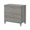 Bush Furniture Somerset 2-Drawer Lateral File Cabinet, Letter/Legal, Platinum Gray, 30" (WC81280) 1 Bush Furniture Somerset 2-Drawer Lateral File Cabinet, Letter/Legal, Platinum Gray, 30" (WC81280) -File Cabinets Shop unnamed file 1245