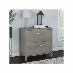 Bush Furniture Somerset 2-Drawer Lateral File Cabinet, Letter/Legal, Platinum Gray, 30" (WC81280) -File Cabinets Shop unnamed file 1246