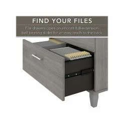Bush Furniture Somerset 2-Drawer Lateral File Cabinet, Letter/Legal, Platinum Gray, 30" (WC81280) -File Cabinets Shop unnamed file 1247