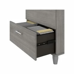 Bush Furniture Somerset 2-Drawer Lateral File Cabinet, Letter/Legal, Platinum Gray, 30" (WC81280) -File Cabinets Shop unnamed file 1251