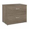 Bush Business Furniture Studio C 2 Drawer Lateral File Cabinet, Modern Hickory (SCF136MHSU) -File Cabinets Shop unnamed file 1263