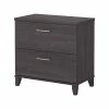Bush Furniture Somerset 2-Drawer Lateral File Cabinet, Letter/Legal, Storm Gray, 30" (WC81580) -File Cabinets Shop unnamed file 157