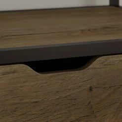 Bush Furniture Anthropology 1-Drawer Lateral File Cabinet, Letter/Legal, Rustic Brown, 27.24"W (ATF128RB-03) -File Cabinets Shop unnamed file 1659