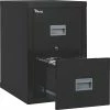 FireKing® Patriot 2-Drawer Fireproof File Cabinets, Letter/Legal, Black (2P1825CBLI) -File Cabinets Shop unnamed file 1749