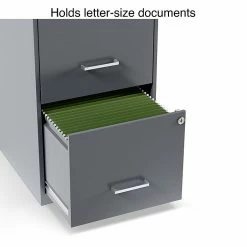 Staples 2 Drawer Vertical File Cabinet, Locking, Letter, Graphite, 18''D (14443/17783) -File Cabinets Shop unnamed file 1914