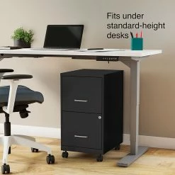 Staples 2-Drawer Light Duty Vertical File Cabinet, Locking, Letter, Black, 18"D (52145) -File Cabinets Shop unnamed file 1941