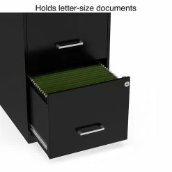 Staples 2-Drawer Light Duty Vertical File Cabinet, Locking, Letter, Black, 18"D (52149) -File Cabinets Shop unnamed file 1944