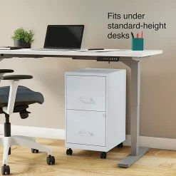 Staples 2-Drawer Light Duty Vertical File Cabinet, Locking, Letter, Gray, 18" (24363) -File Cabinets Shop unnamed file 1975