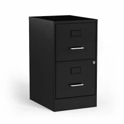 Staples 2-Drawer Light Duty Vertical File Cabinet, Locking, Letter, Black, 18"D (52142)