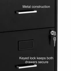 Staples 2-Drawer Light Duty Vertical File Cabinet, Locking, Letter, Black, 18"D (52142) -File Cabinets Shop unnamed file 2009
