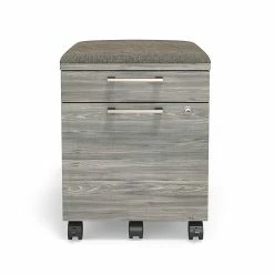 Union & Scale™ Prestige 2-Drawer Vertical File Cabinet, Mobile/Pedestal, Letter/Legal, Gray, 21" (UN56949) 11 Union & Scale™ Prestige 2-Drawer Vertical File Cabinet, Mobile/Pedestal, Letter/Legal, Gray, 21" (UN56949) -File Cabinets Shop unnamed file 2044