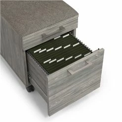 Union & Scale™ Prestige 2-Drawer Vertical File Cabinet, Mobile/Pedestal, Letter/Legal, Gray, 21" (UN56949) 12 Union & Scale™ Prestige 2-Drawer Vertical File Cabinet, Mobile/Pedestal, Letter/Legal, Gray, 21" (UN56949) -File Cabinets Shop unnamed file 2045