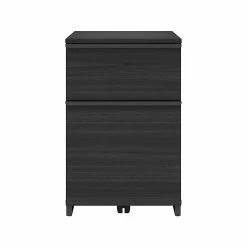 Thomasville Furniture Latimer 2-Drawer Vertical File Cabinet, Pedestal, Burnt Ash, 20.8"D (SPLS-LADF-TV)