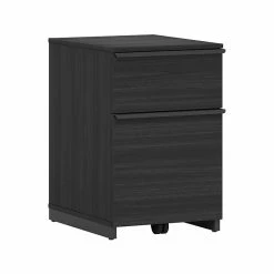 Thomasville Furniture Latimer 2-Drawer Vertical File Cabinet, Pedestal, Burnt Ash, 20.8"D (SPLS-LADF-TV) -File Cabinets Shop unnamed file 2065