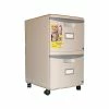 Storex 2-Drawer Vertical File Cabinet, Mobile/Pedestal, Letter/Legal, Gray, 18.25" (61301B01C) -File Cabinets Shop unnamed file 2122