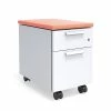Union & Scale™ Lewis™ 2-Drawer Mobile Pedestal, Letter/Legal Size, Salmon (UN55952) 1 Union & Scale™ Lewis™ 2-Drawer Mobile Pedestal, Letter/Legal Size, Salmon (UN55952) -File Cabinets Shop unnamed file 2473