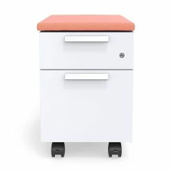 Union & Scale™ Lewis™ 2-Drawer Mobile Pedestal, Letter/Legal Size, Salmon (UN55952) 11 Union & Scale™ Lewis™ 2-Drawer Mobile Pedestal, Letter/Legal Size, Salmon (UN55952) -File Cabinets Shop unnamed file 2475