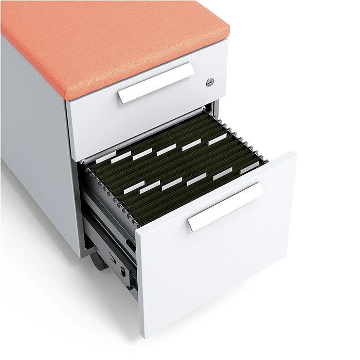 Union & Scale™ Lewis™ 2-Drawer Mobile Pedestal, Letter/Legal Size, Salmon (UN55952) 6 Union & Scale™ Lewis™ 2-Drawer Mobile Pedestal, Letter/Legal Size, Salmon (UN55952) - Image 4