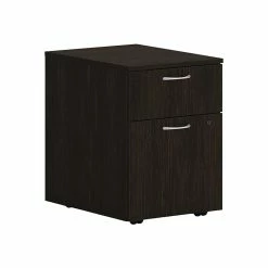 HON Mod 2-Drawer Vertical File Cabinet, Mobile Pedestal, Letter/Legal, Java Oak, 20" (HLPLPMBF.LJA1)