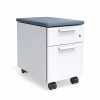 Union & Scale™ Lewis™ 2-Drawer Mobile Pedestal, Letter/Legal Size, Carolina (UN55950) -File Cabinets Shop unnamed file 2635