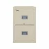 FireKing Patriot 2-Drawer Vertical File Cabinet, Fire Resistant, Letter, Beige, 31.56"D (2P1831-CPA) 2 FireKing Patriot 2-Drawer Vertical File Cabinet, Fire Resistant, Letter, Beige, 31.56"D (2P1831-CPA) -File Cabinets Shop unnamed file 2809