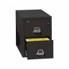 FireKing 1-Hour 2-Drawer Fire Resistant Vertical Cabinet, Legal-Size, Black, Inside Delivery (22131CBLI) -File Cabinets Shop unnamed file 3027