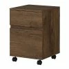 Bush Furniture Anthropology 2 Drawer Mobile File Cabinet, Rustic Brown Embossed (ATH011RB) -File Cabinets Shop unnamed file 3074