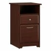 Bush Furniture Cabot 2 Drawer File Cabinet, Harvest Cherry (WC31452-03) -File Cabinets Shop unnamed file 3088