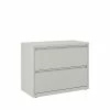 Staples Commercial 2 File Drawers Lateral File Cabinet, Locking, Gray, Letter/Legal, 36"W (20298D) -File Cabinets Shop unnamed file 333