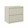 Staples Commercial 2 File Drawers Lateral File Cabinet, Locking, Putty/Beige, Letter/Legal, 30"W (20067D) -File Cabinets Shop unnamed file 444