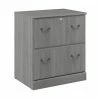 Bush Furniture Saratoga 2-Drawer Lateral File Cabinet, Locking, Modern Gray (EX45854-03) -File Cabinets Shop unnamed file 528