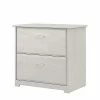 Bush Furniture Cabot 2-Drawer Lateral File Cabinet, Letter/Legal, Linen White Oak, 31" (WC31180-03) -File Cabinets Shop unnamed file 743