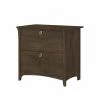 Bush Furniture Salinas 2-Drawer Lateral File Cabinet, Letter/Legal, Ash Brown, 31.73" (SAF132ABR-03) -File Cabinets Shop unnamed file 760