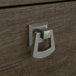 Bush Furniture Salinas 2-Drawer Lateral File Cabinet, Letter/Legal, Ash Brown, 31.73" (SAF132ABR-03) -File Cabinets Shop unnamed file 764