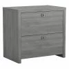 Office By Kathy Ireland® Echo 2-Drawer Lateral File Cabinet, Letter/Legal, Modern Gray, 32" (KI60402-03) 1 Office By Kathy Ireland® Echo 2-Drawer Lateral File Cabinet, Letter/Legal, Modern Gray, 32" (KI60402-03) -File Cabinets Shop unnamed file 887