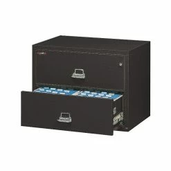 FireKing Fire King 1-Hour Fire Resistant Lateral File Cabinet, Letter/Legal, 2-Drawer, Black, 22 1/8"D, Truck To Loading Dock